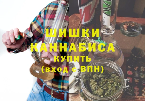 шишки Хадыженск