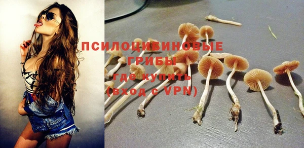 твердый Фурманов