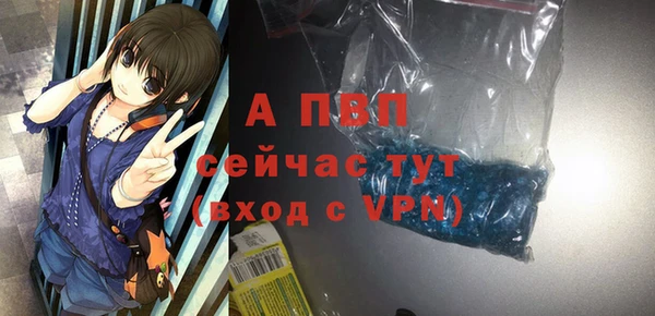 шишки Хадыженск