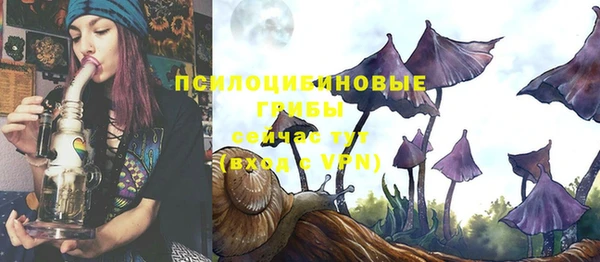 твердый Фурманов