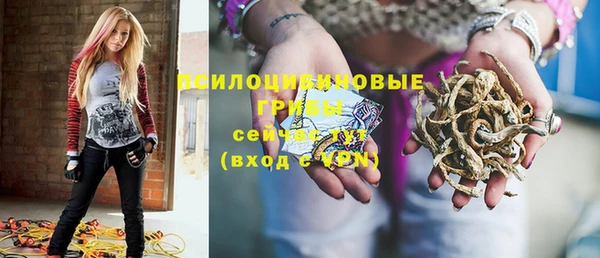 шишки Хадыженск