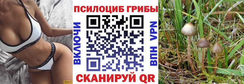 Псилоцибиновые грибы прущие грибы Шали